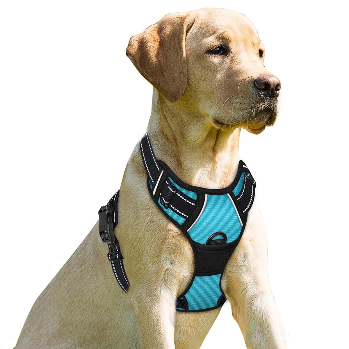 Photo 1 of BARKBAY No Pull Dog Harness Front Clip Heavy Duty Reflective Easy Control Handle for Large Dog Walking(Blue,XS)