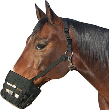 Best Friend Deluxe Grazing Muzzle with Attached Halter for Horses - Ventilated, Lightweight Neoprene with Padded Noseband, Control Food Intake, Horse Size