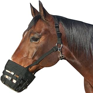 Best Friend Deluxe Grazing Muzzle with Attached Halter for Horses - Ventilated Neoprene, Padded Noseband, Breakaway Design, Lightweight Food Intake Control, Large Horse