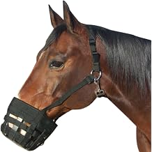 Best Friend Deluxe Grazing Muzzle with Attached Halter for Horses - Ventilated, Lightweight Neoprene with Padded Noseband, Control Food Intake, Horse Size