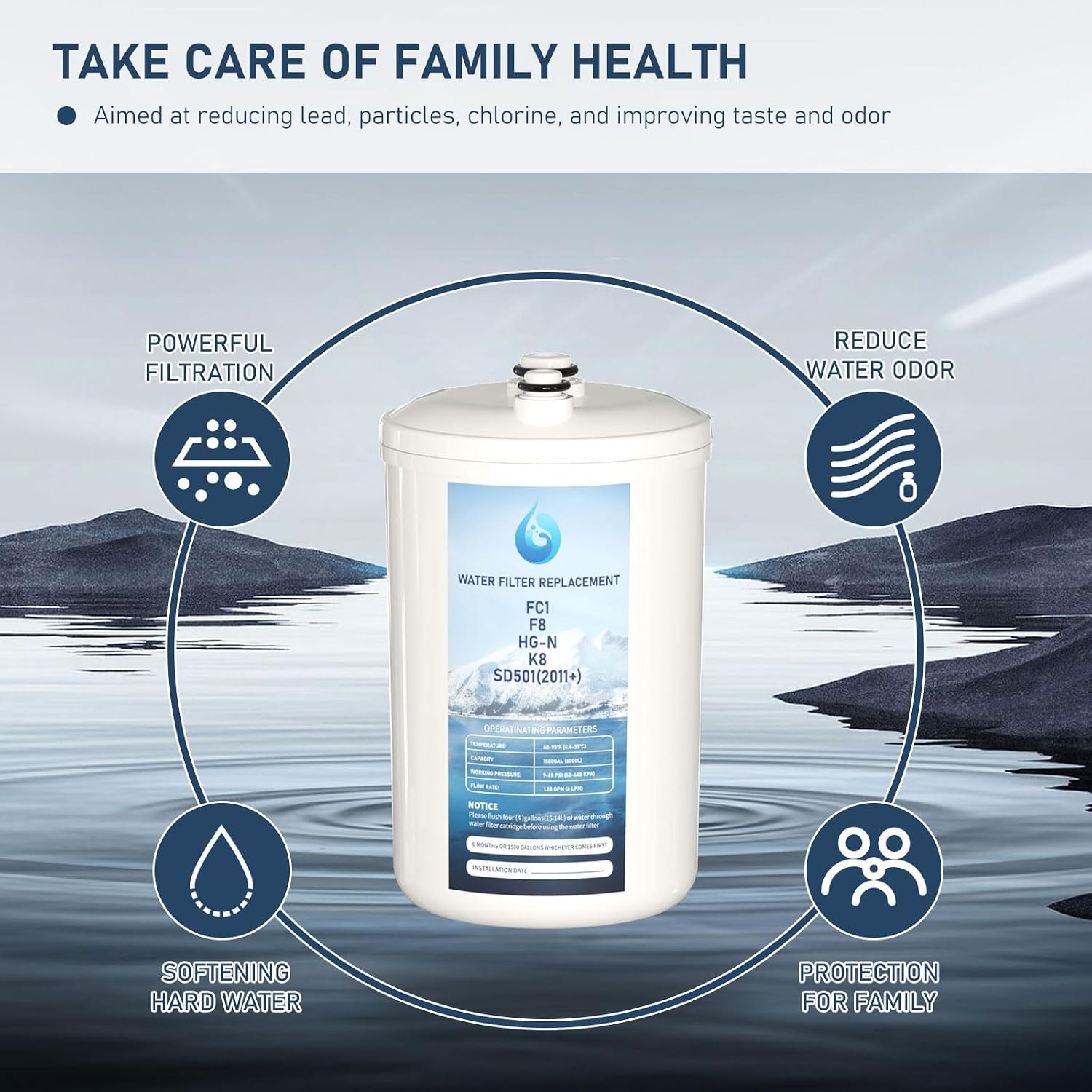 FC1 F8 HG-N Water Filter Replacement Compatible with Enagic Leveluk F8 and HG-N Filters for K8 and SD501 (2011+), JRIV Machine Machines, 2 Pack