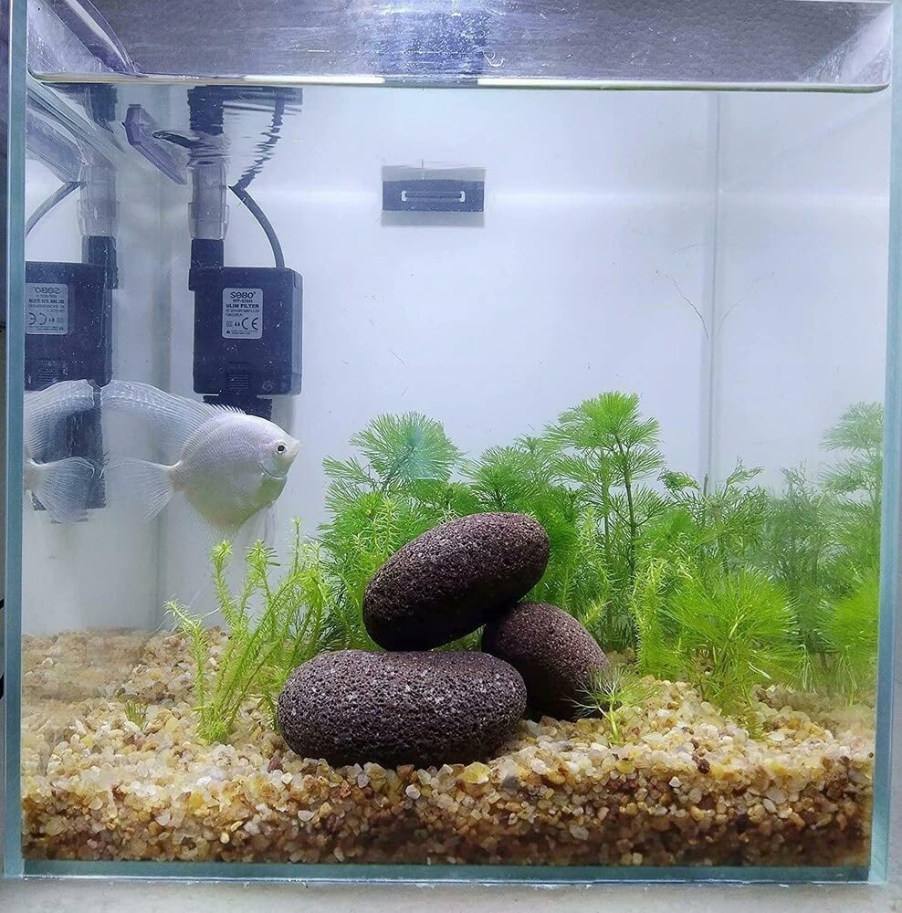 Lava Aquarium Steine Schwarz 10 kg Aquascaping Deko