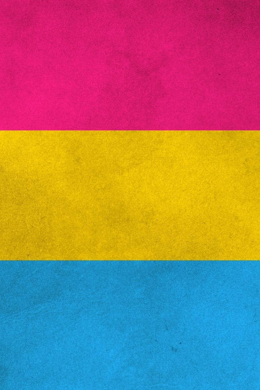 Pansexual Pride Flag Notebook: 6" x 9" 200 Page / 100 Sheet Blank College Ruled Note Book
