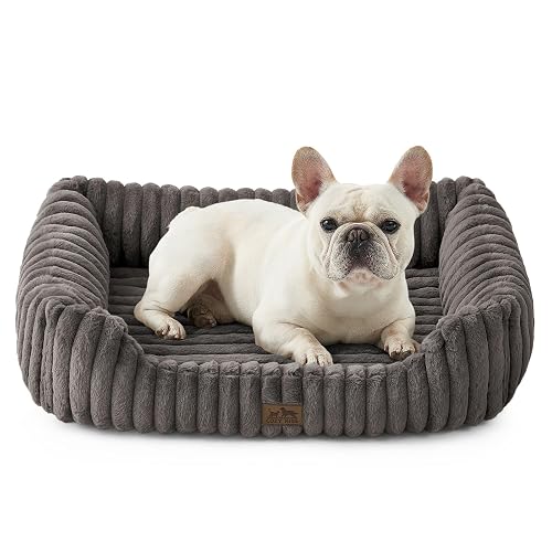 COZY KISS Cama Ortopédica para Perros y Gatos, Sofá Lavable para Gatos, L | Gris, Mascotas pequeñas 