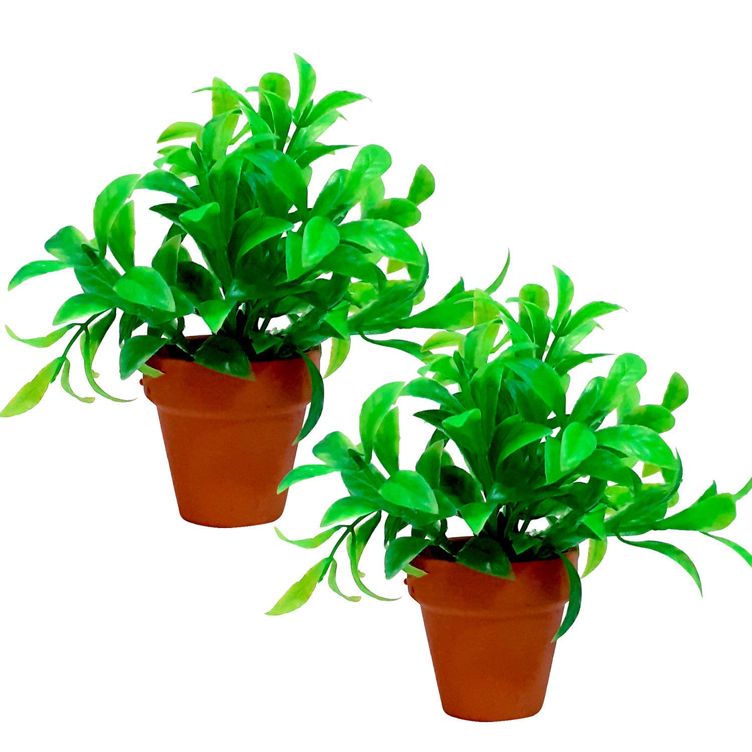Foodie Puppies Pot Vase Plant Ornaments for Fish Tank Aquarium Decoration (Pack of 2) (B07XZN9JQB) Amazon Price History, Amazon Price Tracker