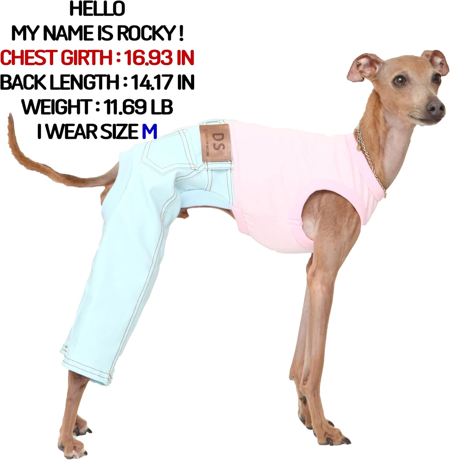 D Doggy Star Italian Greyhound Clothes Sleeveless Jeans Onesie Outfit Whippet for Dog Coat (XL,Sky Blue Jean)