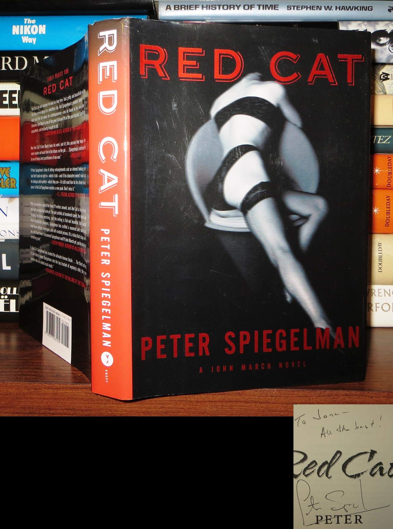 Peter Spiegelman's Red Cat