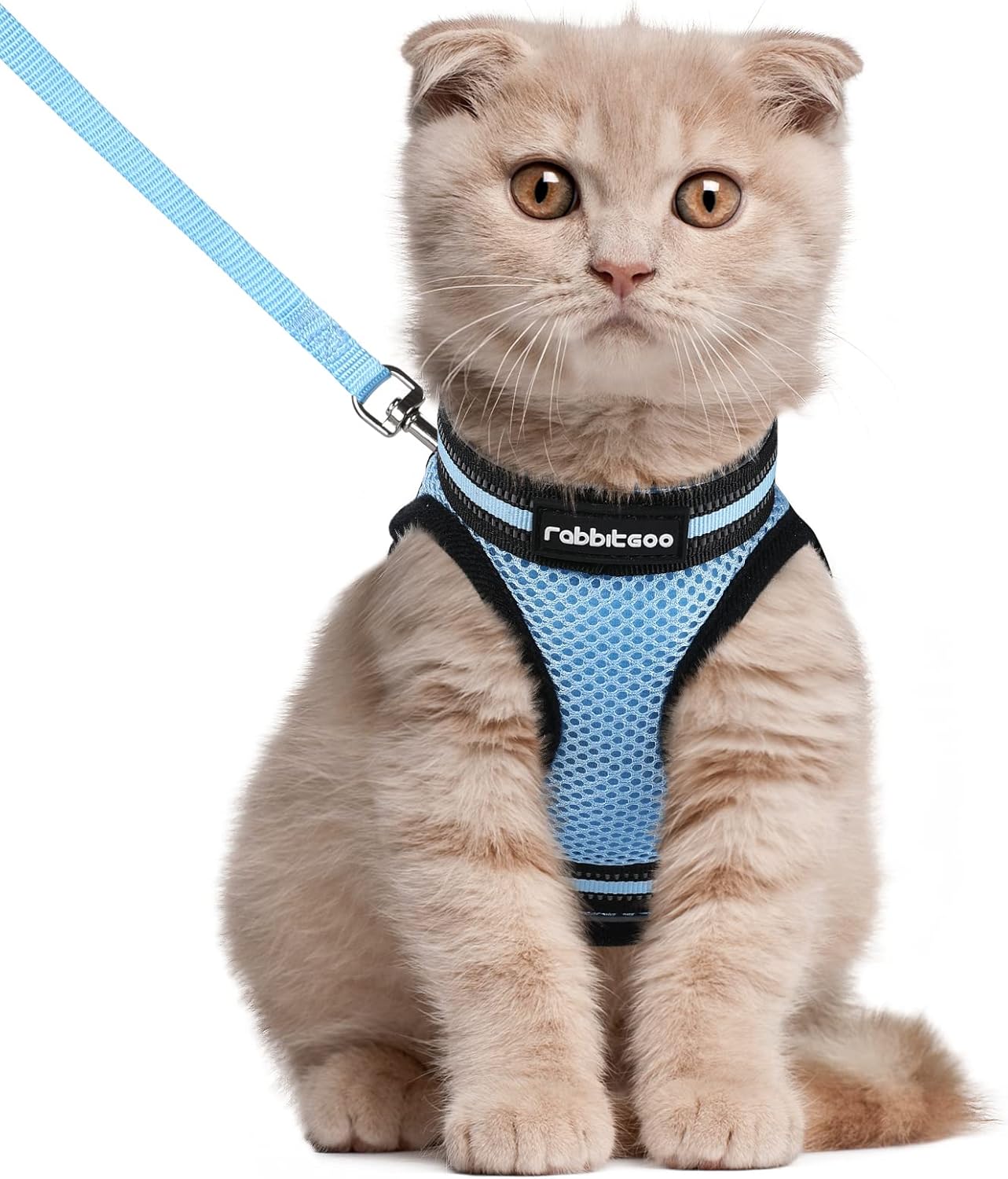 Pet Supplies rabbitgoo Cat Harness and Leash Set for Walking Escape
