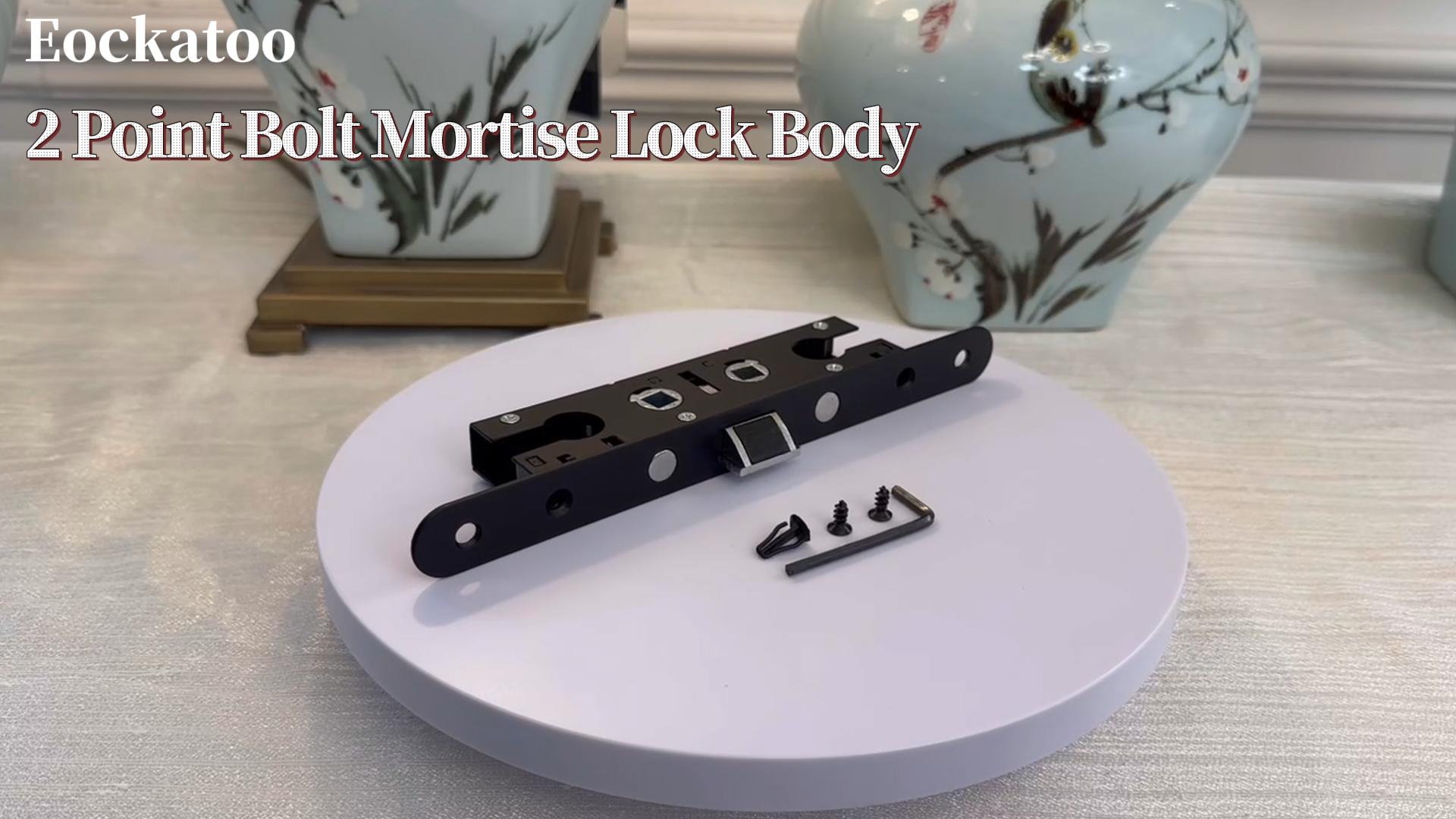 Eockatoo 2-Point Bolt Mortise Lock Body Replacement for Pella