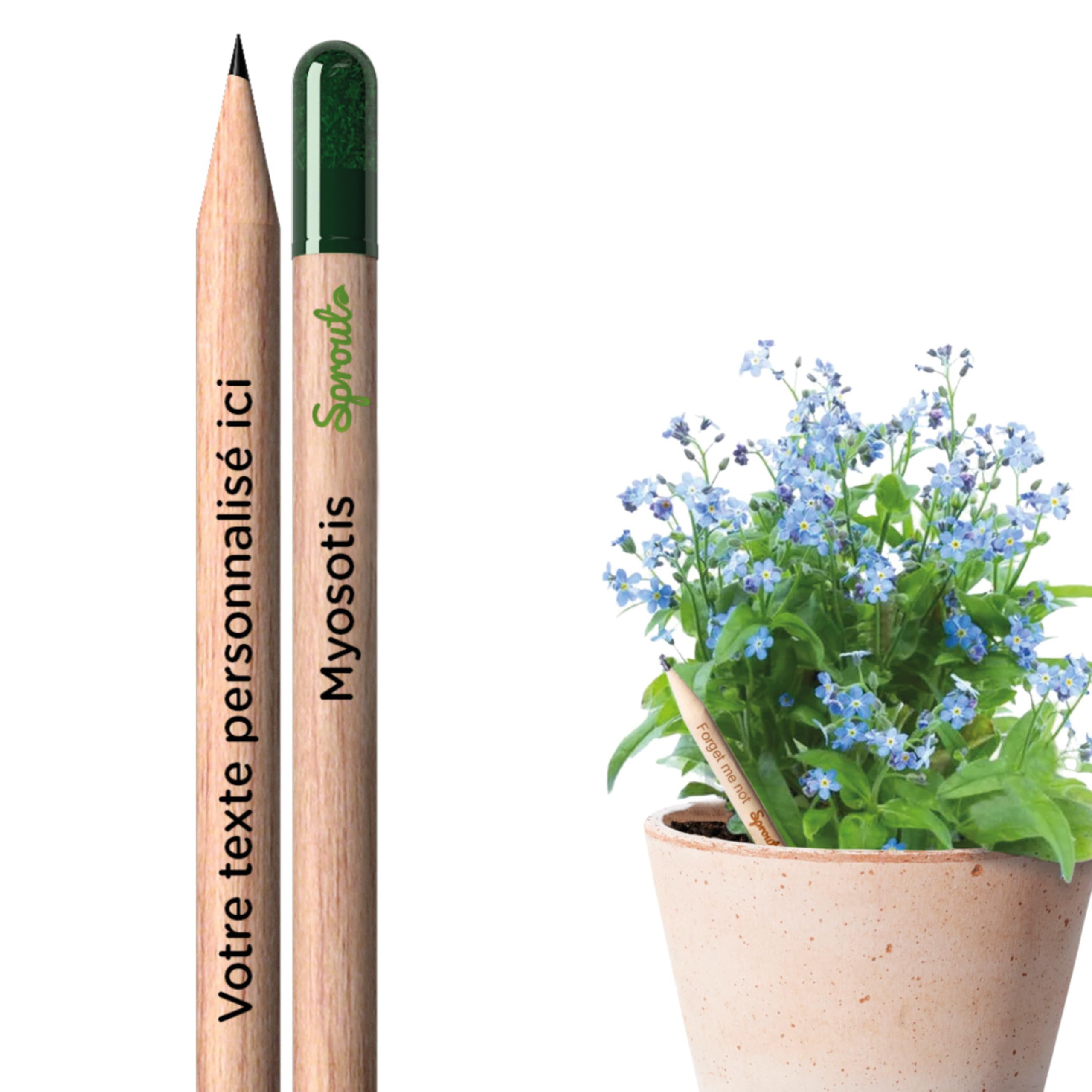 Sprout World Crayons Plantables Personnalisés avec Myosotis cadeau durable