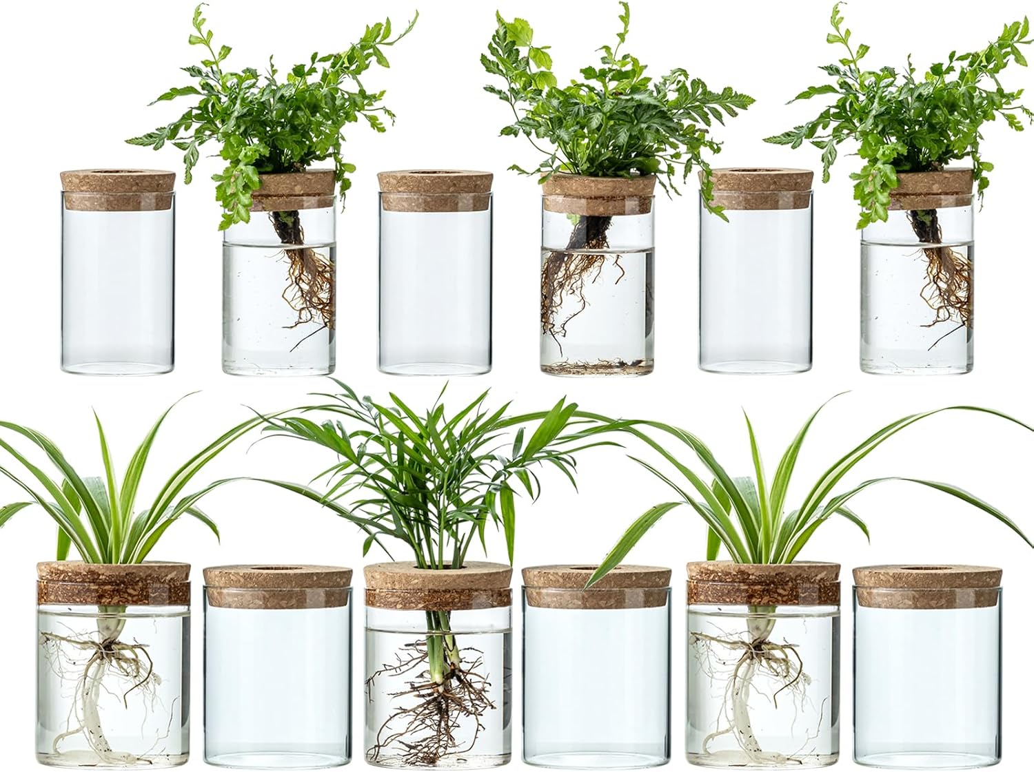 Plant Propagation Stations for Plants, 2 Size Glass Propagation Vases for Propagating Hydroponic Indoor Home Office Decor, Tabletop Glass Planter Gift for Plant Lovers (12)