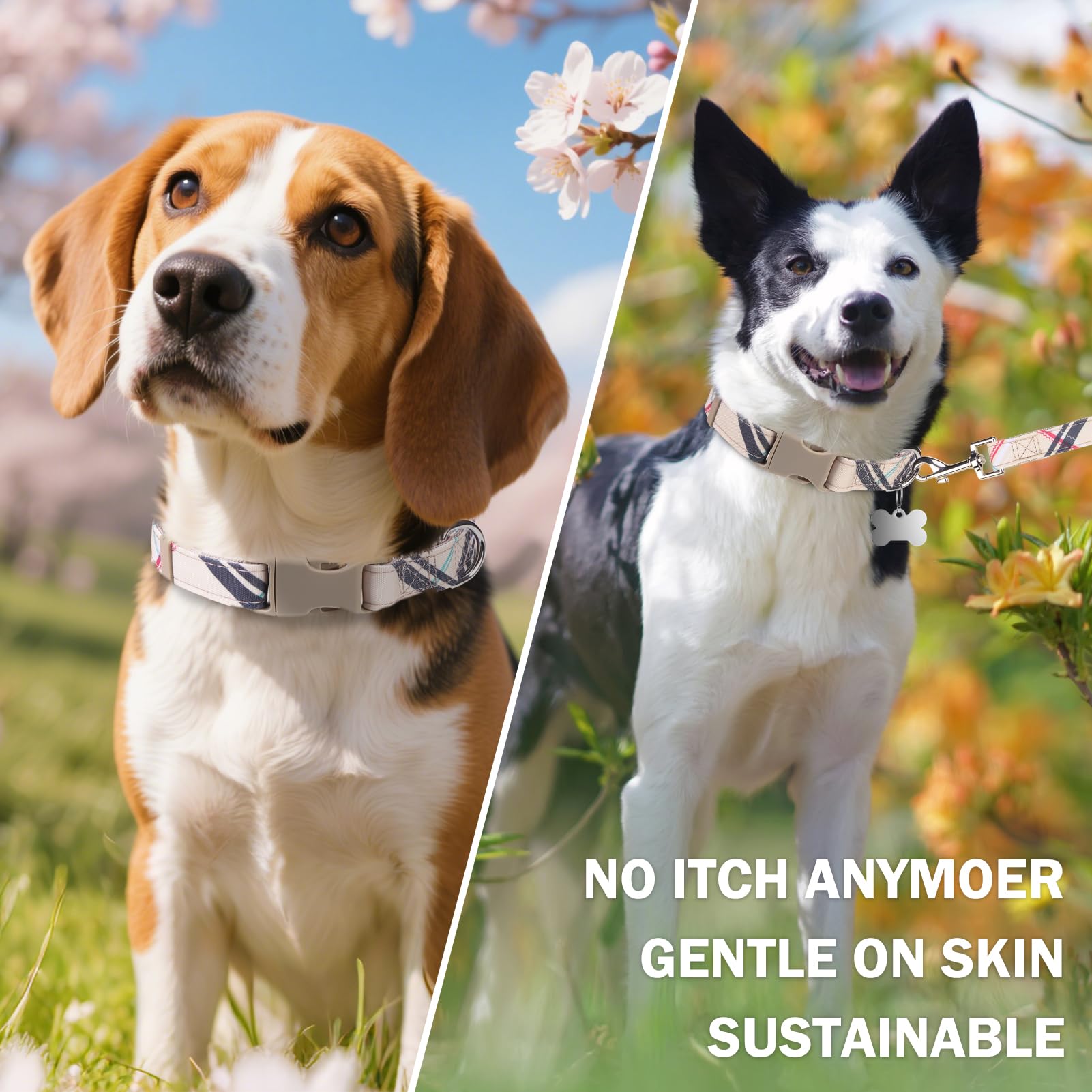 Juego de collar y correa para perro, collares para perros pequeños y medianos, collar ajustable de nailon para cachorros con hebilla para perros hembras machos, collares de mascotas con
