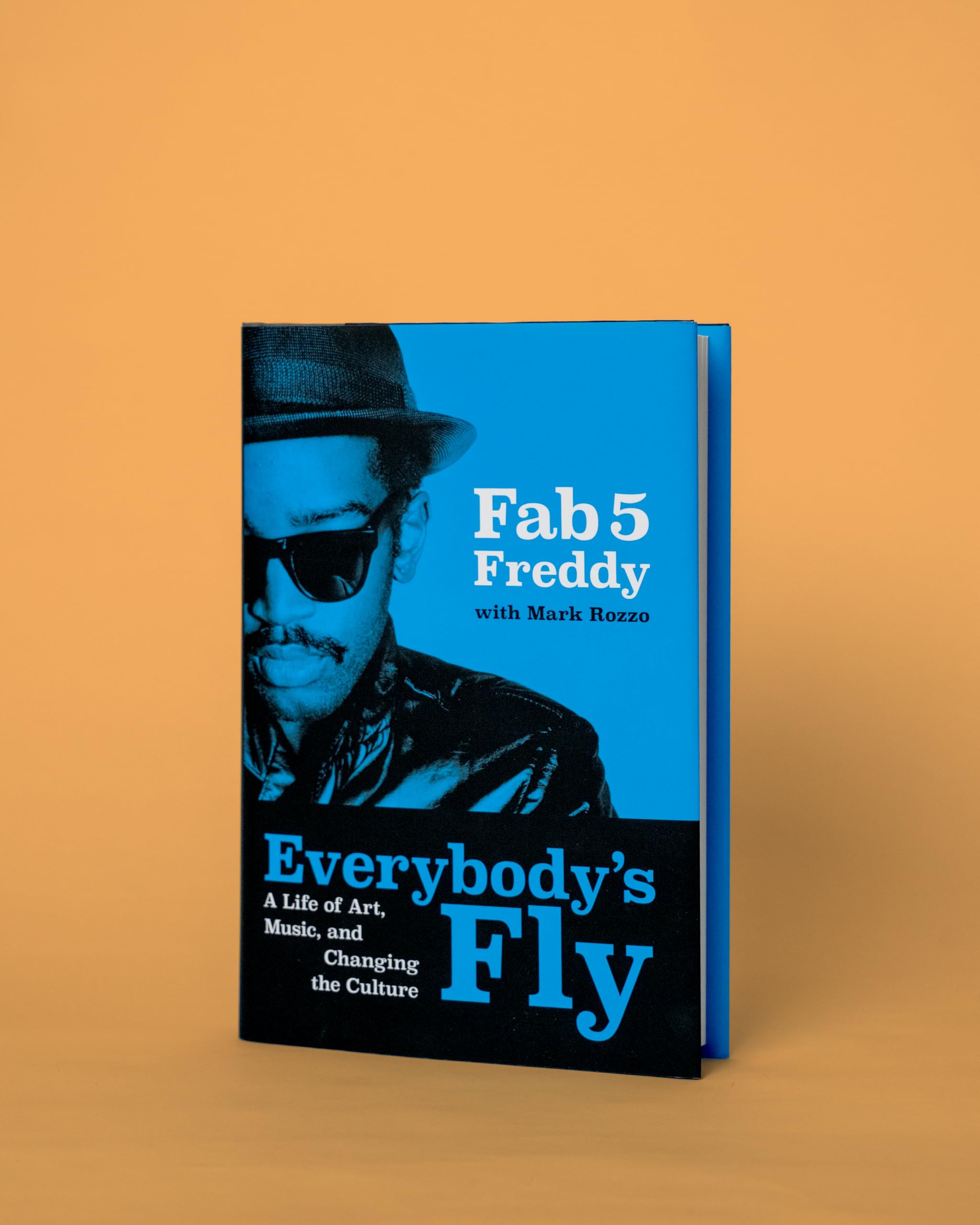 Everybody's Fly /anglais