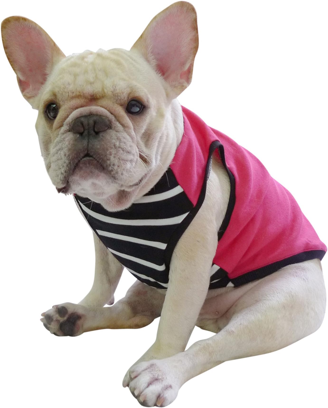 Frenchie Pet Clothing Peach Color with Black and White Classic Stripe Dog Cloth for French Bulldog or Pug Wear