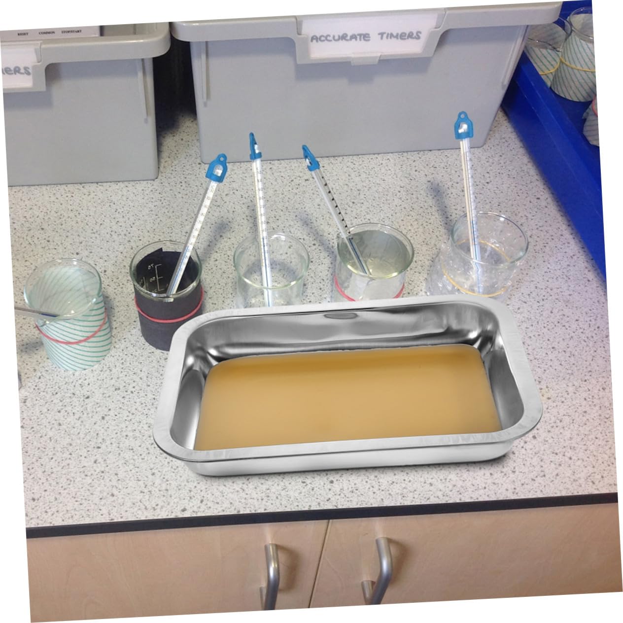 FRCOLOR 2pezzi Vassoio Per Dissezione in Acciaio Inox Pz Piastra Rivestita in Cera Vassoio Da Laboratorio in Dimensioni Per Esperimenti Di Biologia e Insegnamento