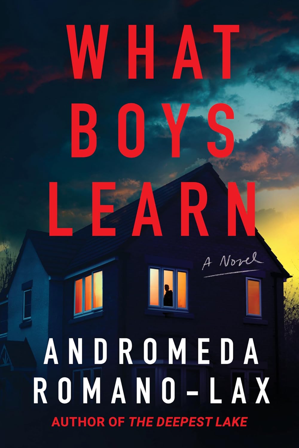 Amazon.com: What Boys Learn: 9781641296915: Romano-Lax, Andromeda: Books