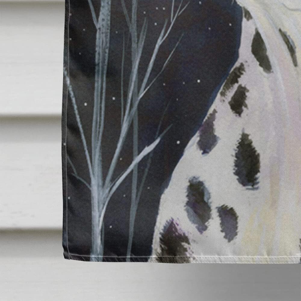 Caroline's Treasures SS8370CHF Starry Night Dalmatian Flag Canvas, Large, Multicolor