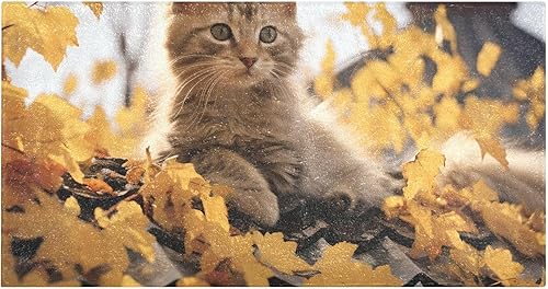 Fluffy Floor Carpet 39x20in-Cat and Maple LeafFront Door Mat Indoor Machine Washable Carpet,Aesthetic Rug