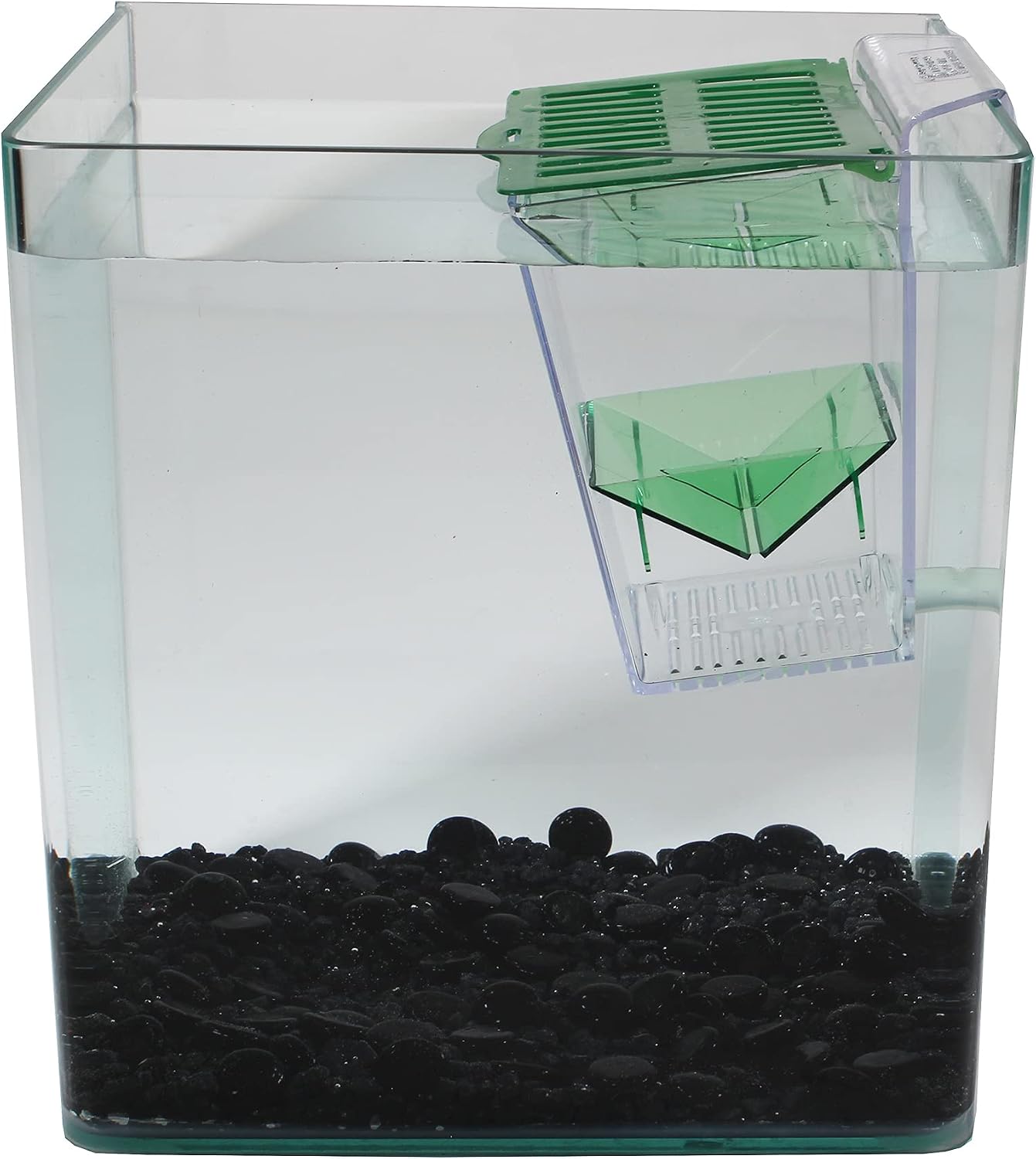 Penn-Plax Breed N’ Show Fish Tank, Multipurpose Enclosure That Mounts Inside an Established Aquarium -Breeding Trap - Image 4