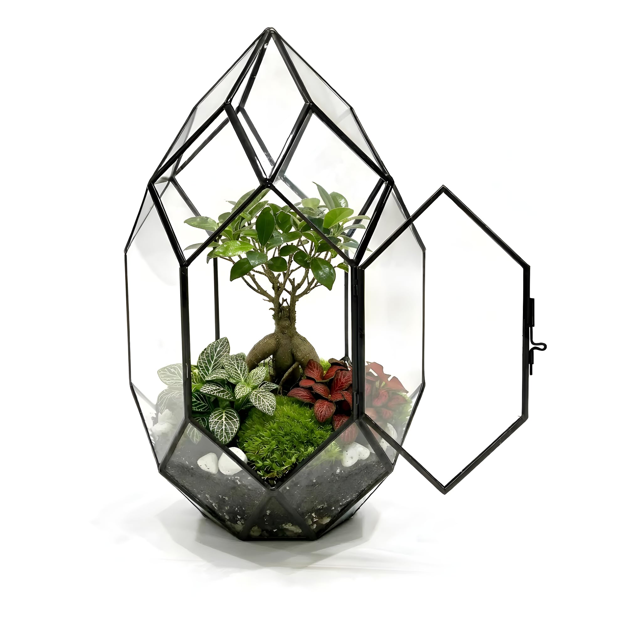 PLUXEA - Kit de Terrarium Complet DIY pour Plantes avec Substrat et 10 Outils Inclus - Structure en Verre Design Géométrique - Écosystème Autonome, Coffret Créatif (sans Plantes)