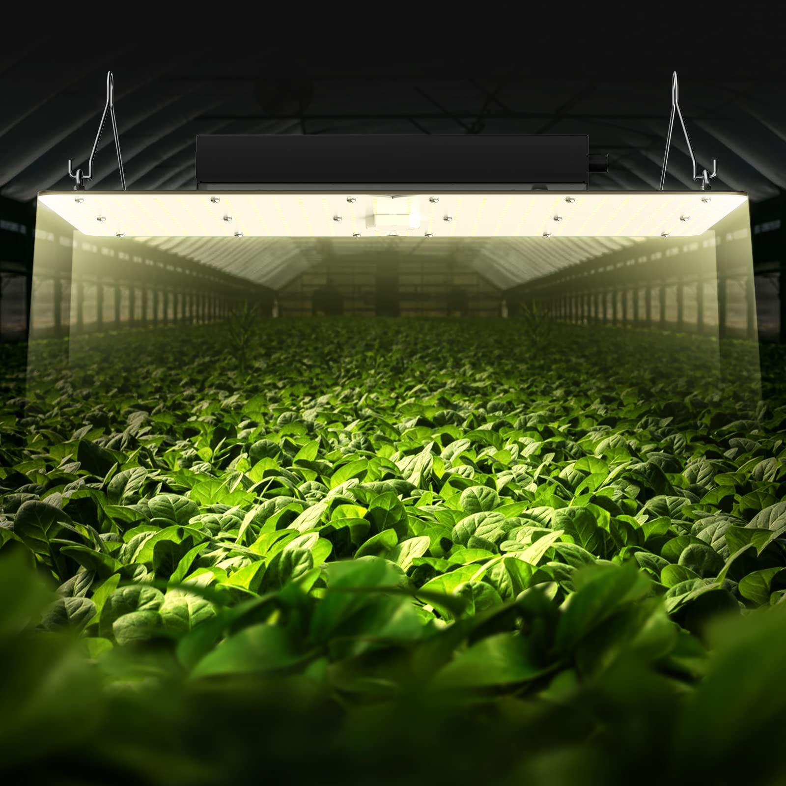 VEVOR Planta de Crecimiento de Lámpara LED 300 W Quantum Panel de Espectro Completo de Alto Rendimiento a Prueba de Agua IP65 PPFD Samsung 281B Diodos para Interior Crecer Carpas Verduras Plantas Flor