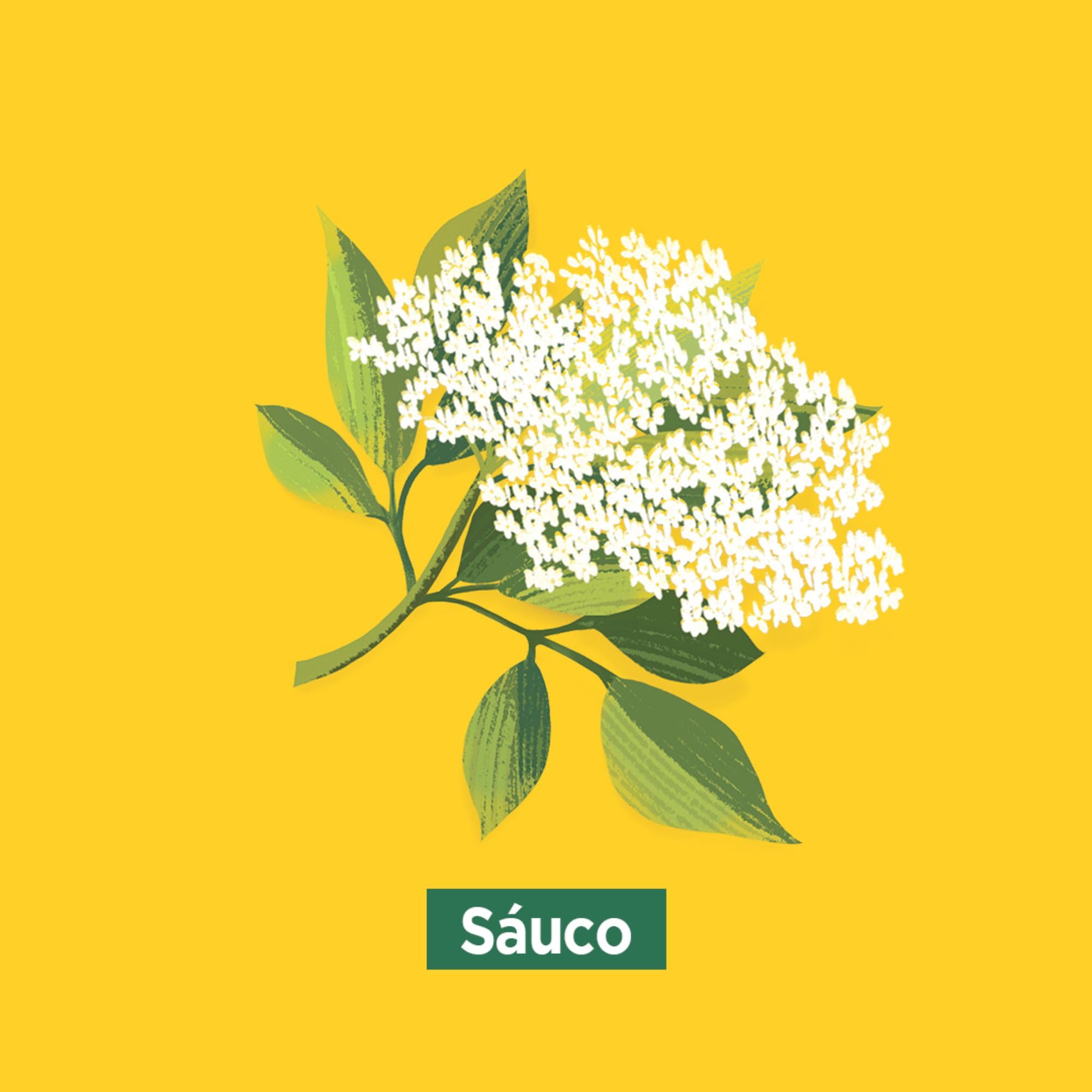Ricola - Hierbas Suizas Original, Caramelos Duros Sin Azúcar, Refresca, Alivia la Garganta y la Respiración, con Aceites Esenciales de Menta, Mentol y 13 Hierbas Suizas, con Edulcorantes - Bolsa 70 g