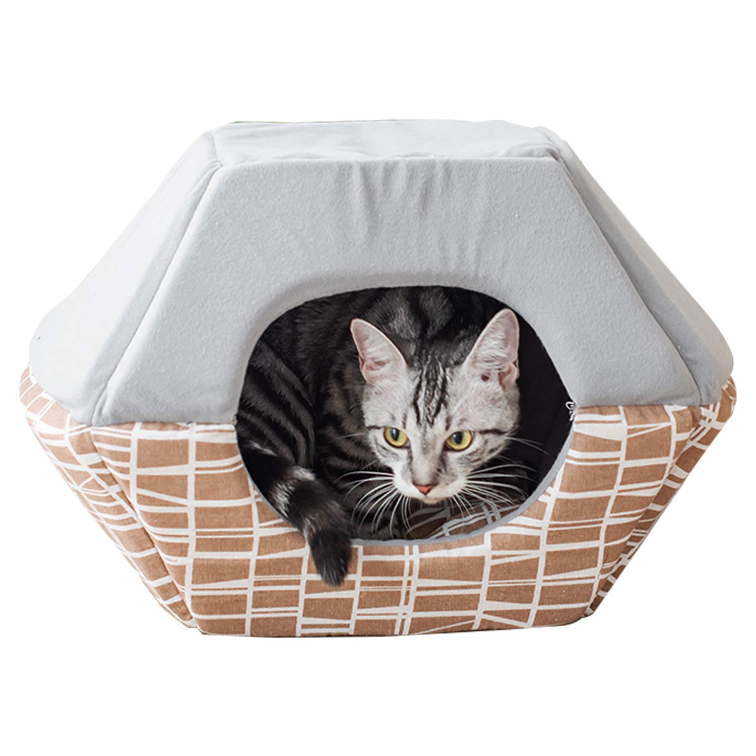2 in 1 cat bed