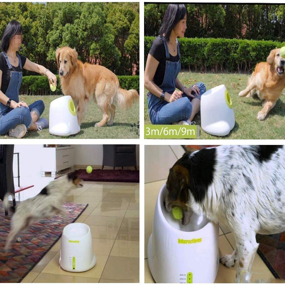 Amazon | ペットおもちゃ ボールランチャー 犬用ボール 自動テニス