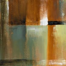 ArtExpert Sonoran Shadows Iv by Lanie Loreth - 12x12 Art Print Poster