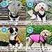 Gooby Fashion Vest Dog Jacket - Black, Large - Warm Zip Up Dog Bomber Vest with Dual D Ring Leash Water Resistant for Small to Medium Dogs