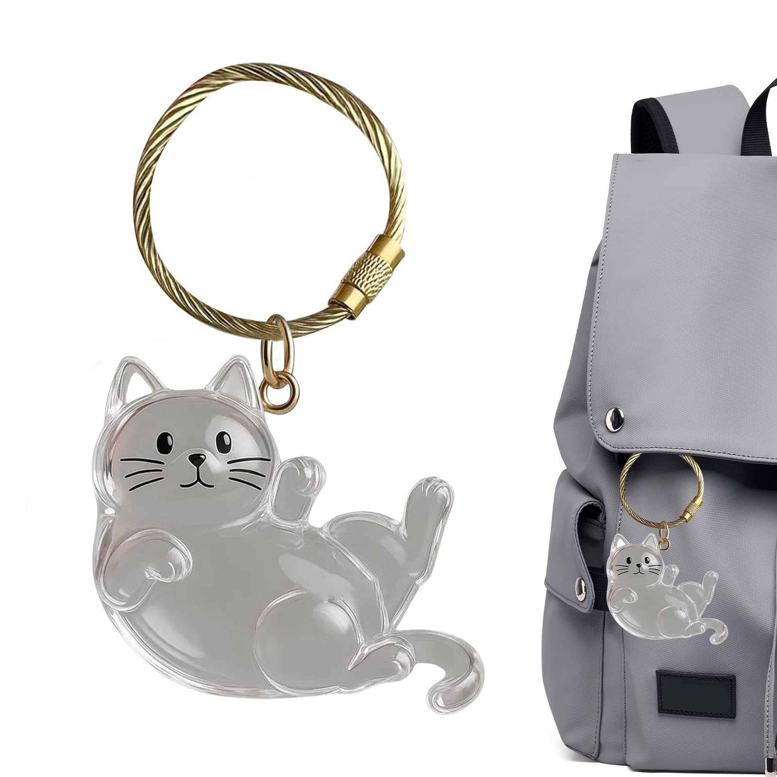 Puwaiio Cat Keychains, Acrylic Transparent Hair Storage Bottle, Pet Hair Memorial Keepsake, Pet Memorial Pendant, Cat Hairs Collector Keychains, Pets Loss Remembrance For Cats Lovers