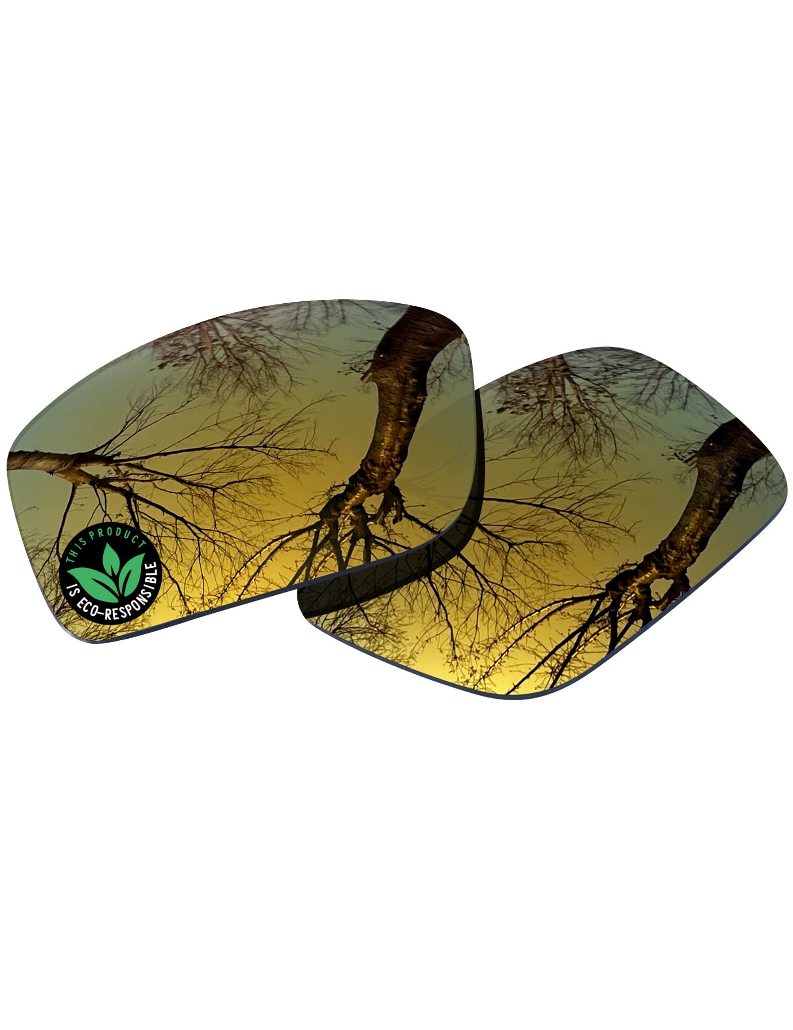 Raydi Polycarbonate Replacement Lenses for Costa Del Mar Rincon 06S9018 Sunglasses