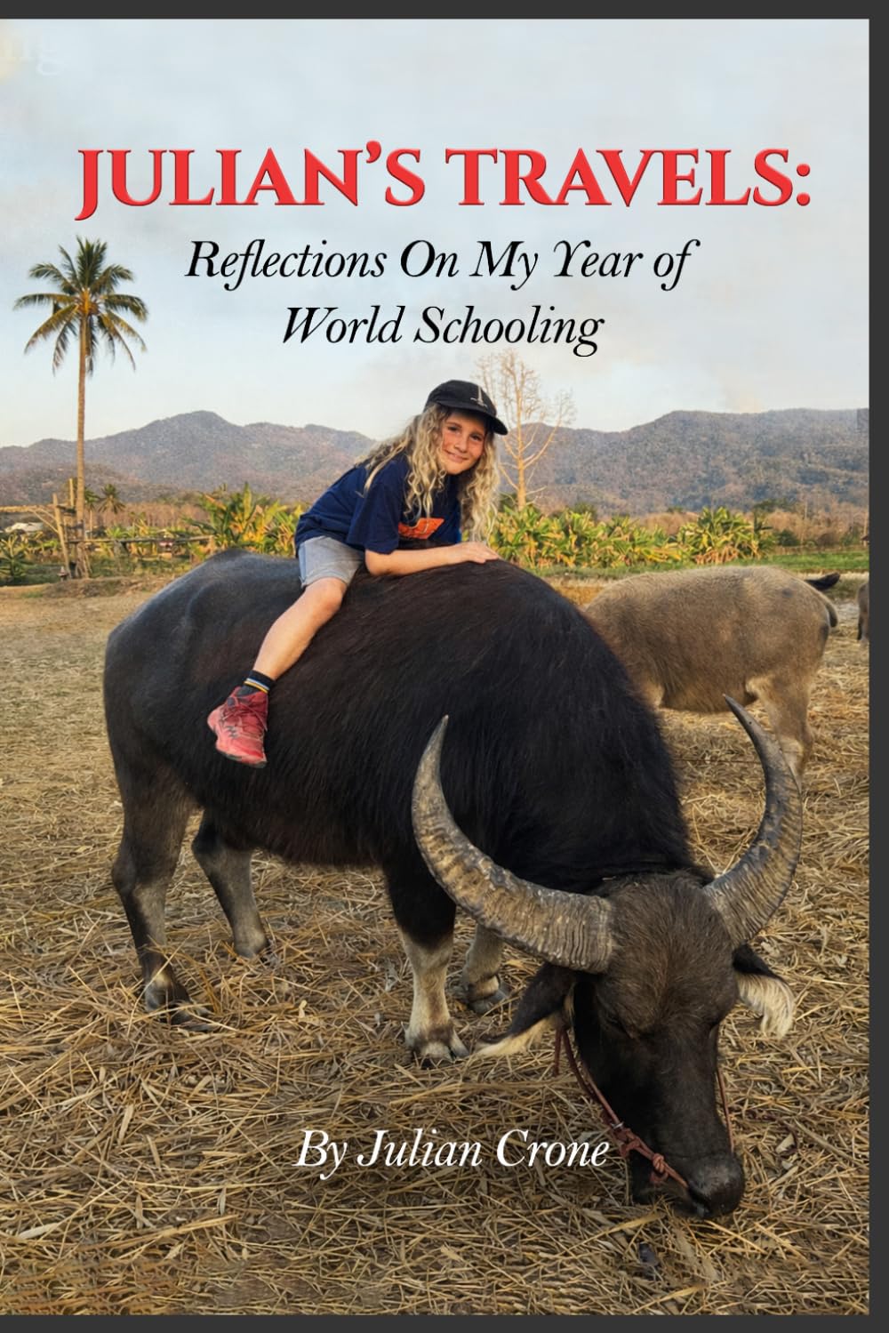 JULIAN’S TRAVELS: Reflections On My Year of World Schooling