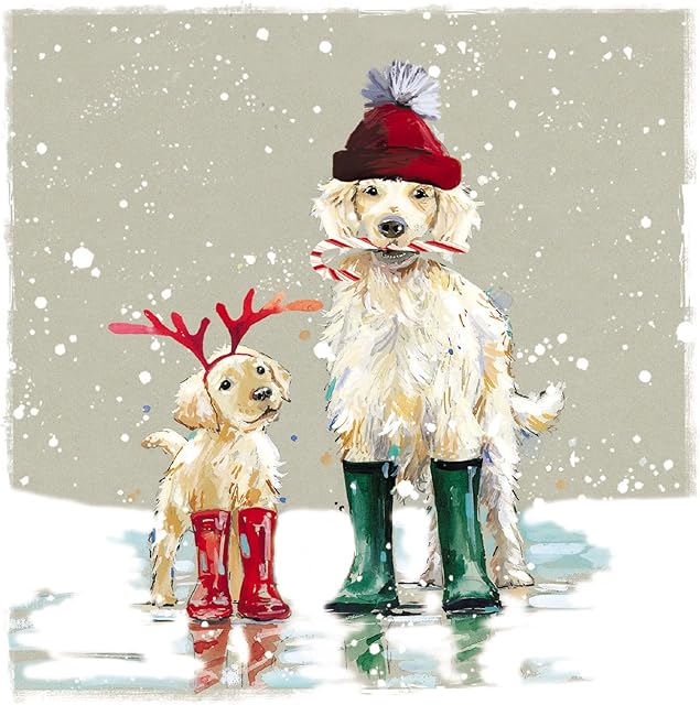 Ling Design Pack of 6 Charity Christmas Cards - 'Winter Ready' - Lovely Design with Dogs Wearing Wellington Boots - 6 Cards of 1 Design, Multi, 146 x 146 x 14mm
