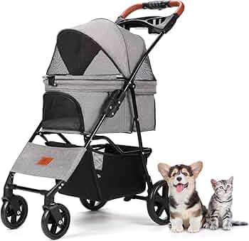 71eVzptzFOL._AC_UF350,