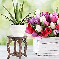 Vista 9 de Soporte de madera para plantas, soporte de exhibición para macetas, base para suculentas, mini taburete para interior y exterior, patio, balcón