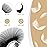 LASHVIEW Eyelash Extension,Ellipse Flat Eyelash Extensions,Individual Lashes,0.15mm C Curl 10mm,Lash Extension,Semi-Permanent,Extremely Light & Soft,Professional Salon Use.
