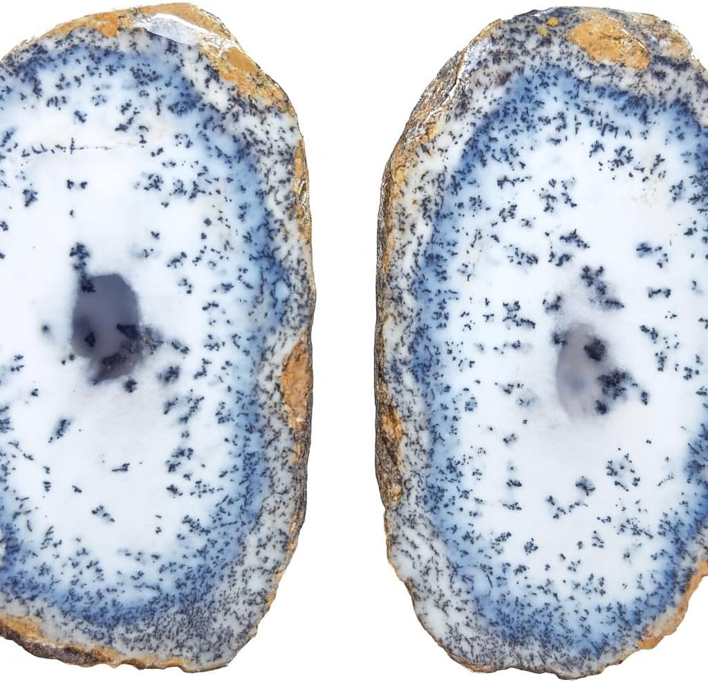 Mystical Split: Dendritic Opal and Dendritic Agate - Merlinite Marvels!