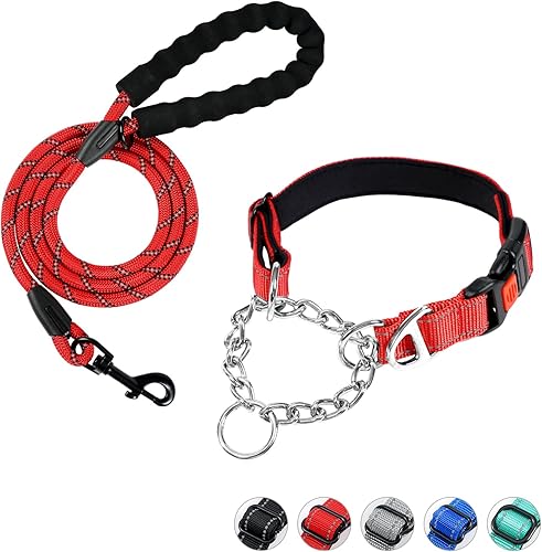 Juego de collar y correa para perro, collar de perro Martingale con hebilla de liberación rápida, correa reflectante para perro y collar ajustable