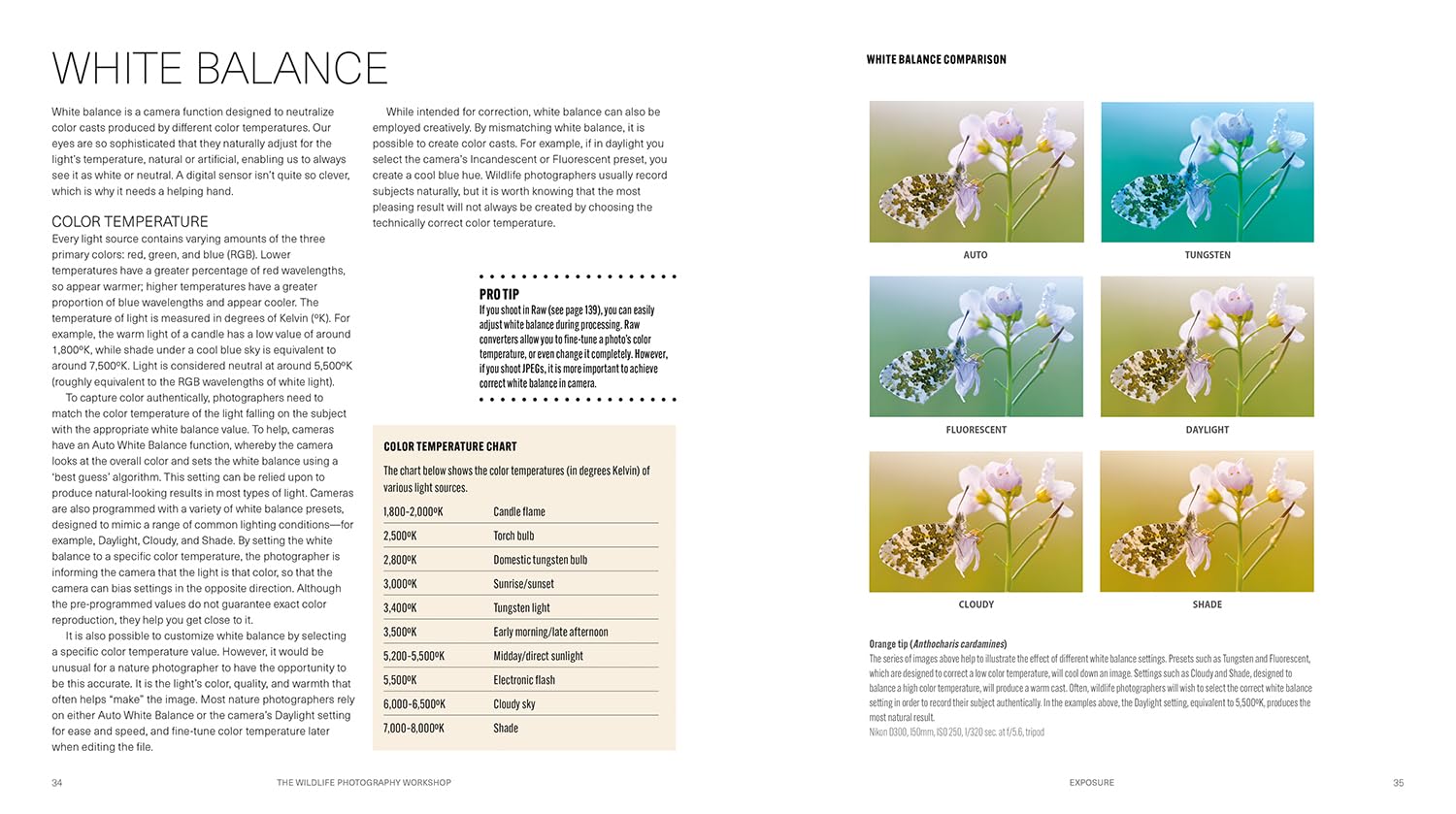 Wildlife Photography Workshop, The