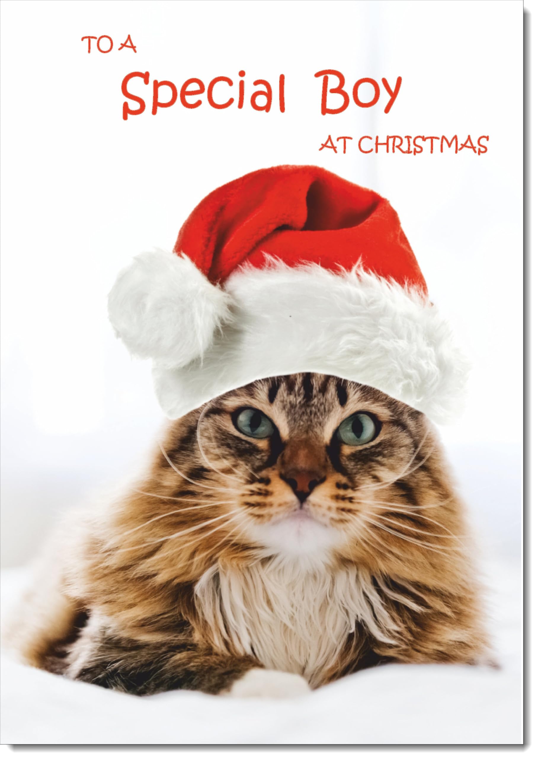 doodlecards Special Boy Christmas Card Cat with Santa Hat Large A4 Size Christmas Card for Special Boy with Plain Envelope
