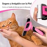 Ver la foto 4