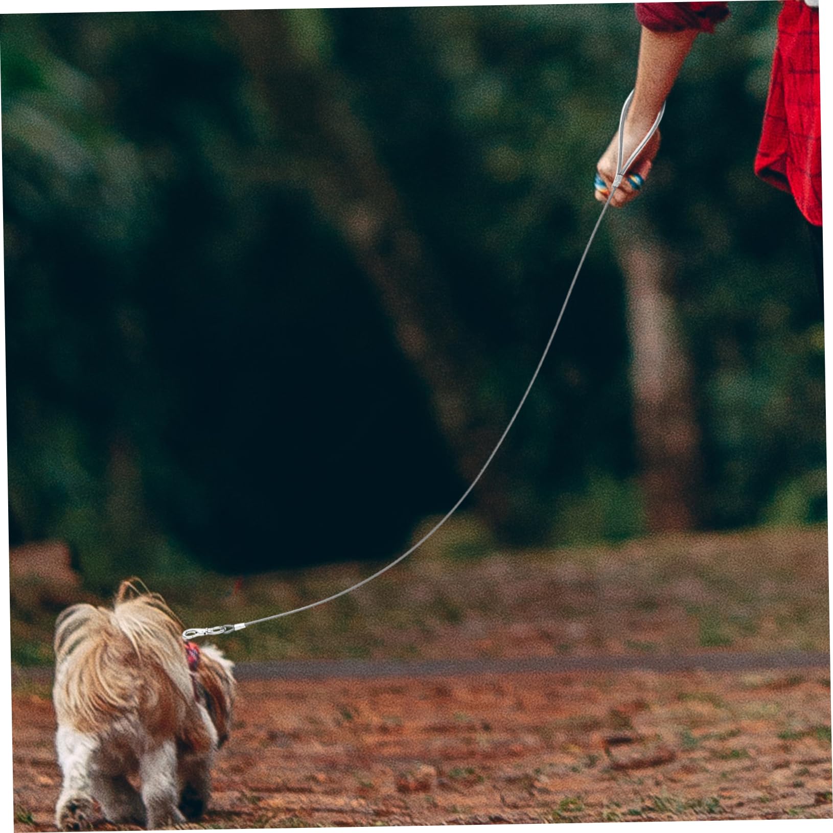 Sosoport 4pezzi Guinzaglio Per Cani Resistente e Riutilizzabile Catena Per Animali Da Compagnia Da Acciaio Per Passeggiate Sicure e Controllo Del Tuo Zampe