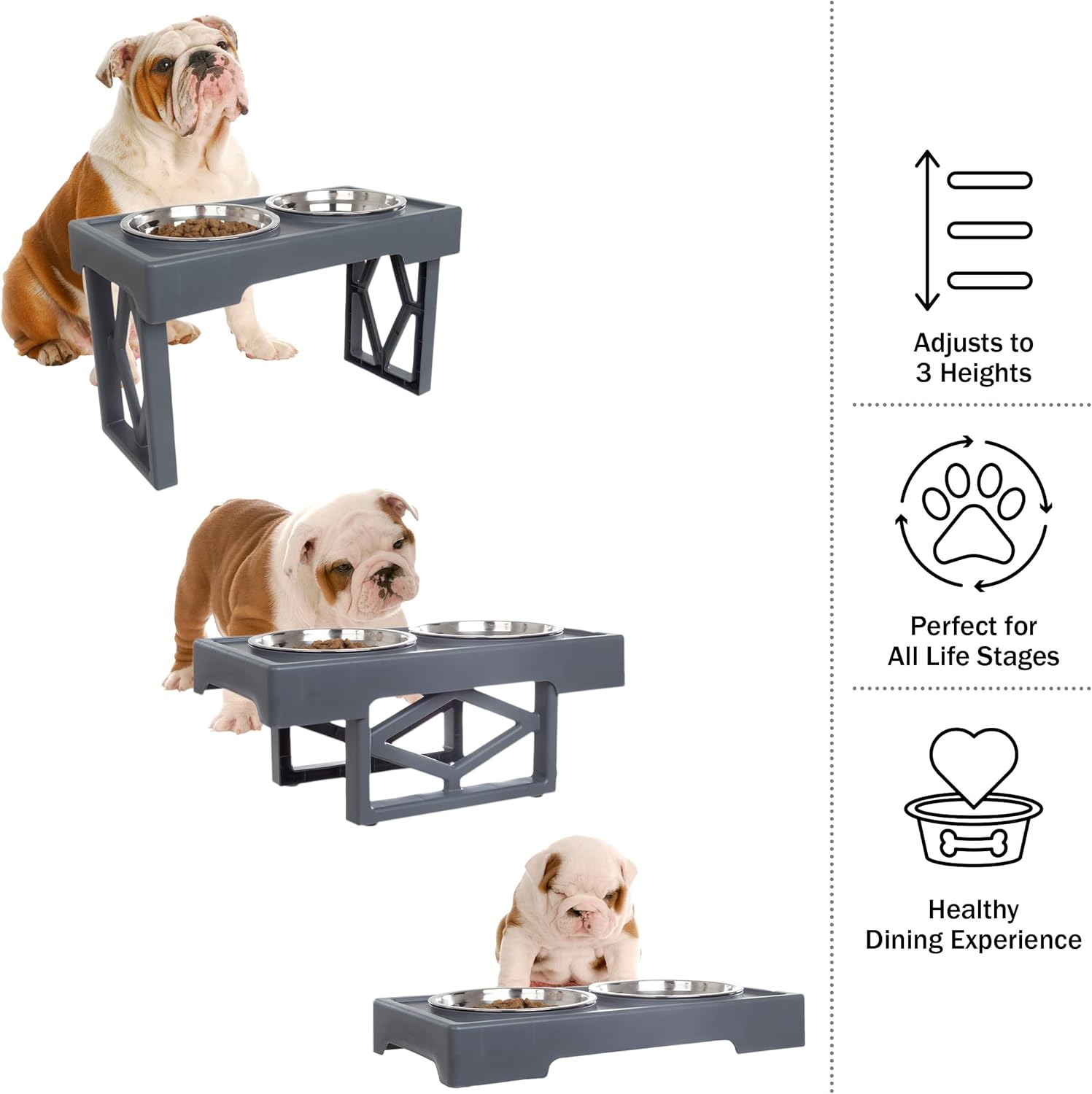 Elevated Dog Bowls Stand - Adjusts to 3 Heights for Small, Medium, and Large Pets - Stainless-Steel Dog Bowls Hold 34oz Each by PETMAKER (Gray)
