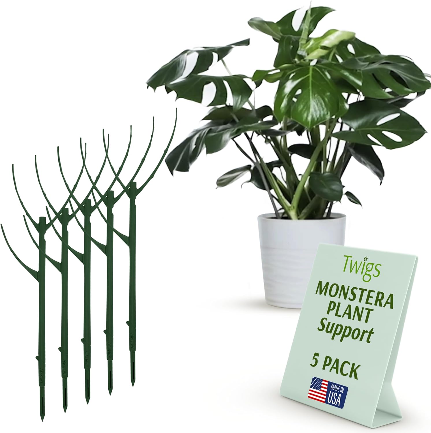 Plant Support Sticks