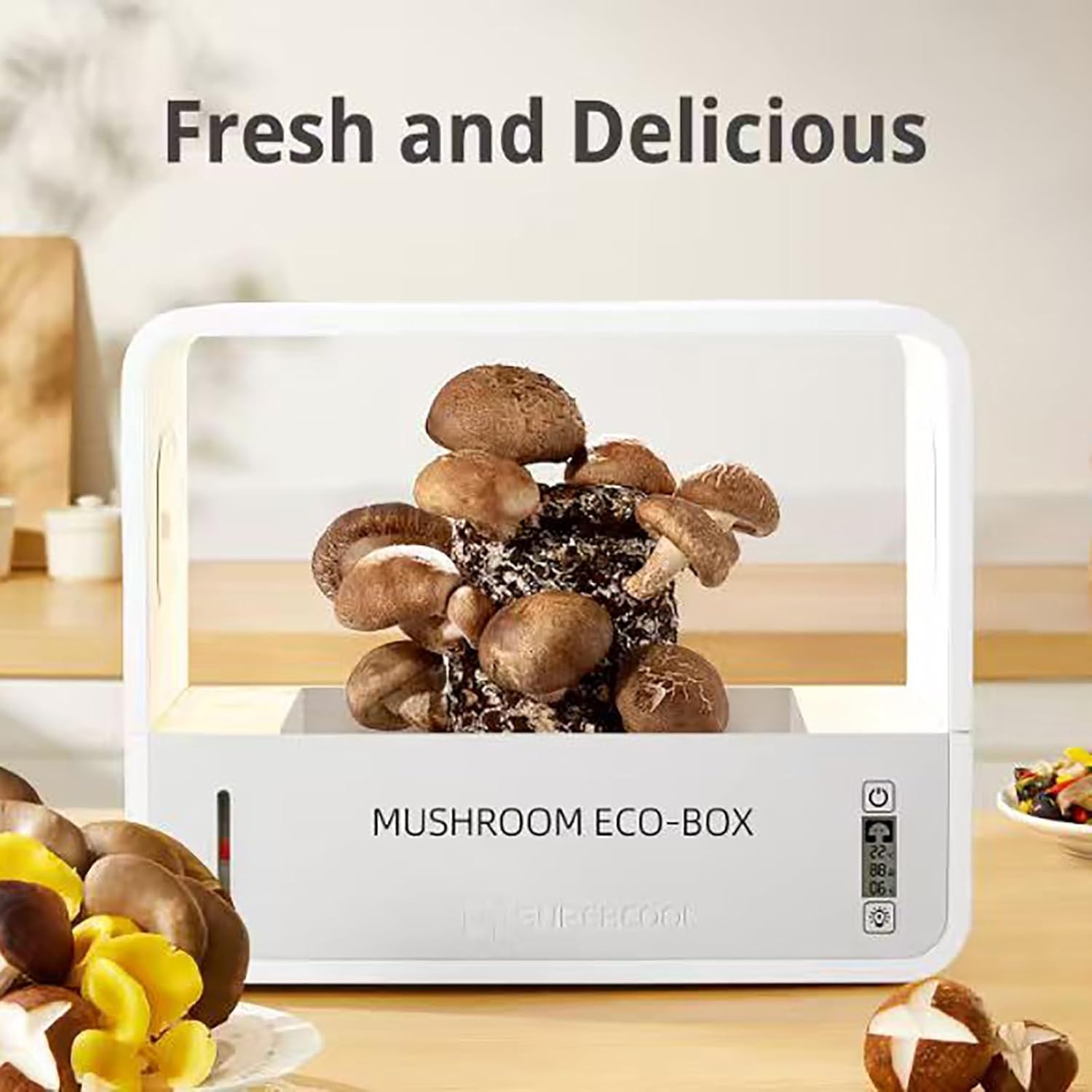 Indoor Mushroom Grow Tent Kit, Automated Humidity Control, LED Light, Fresh Air System & Still Air Box, Fits Oyster/Lions Mane, Ideal Gardening Gift