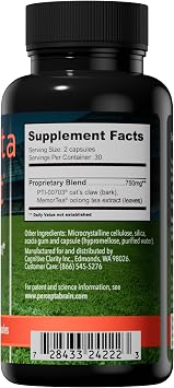 Percepta Sport Brain Supplement for Athletes - Natural Plant-Based Brain Health Supplement - Enhances Performance, Focus, Concentration, and Energy - 30 Day Supply
