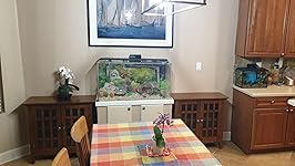 Review Image by Ms.Terry Ryder Ms.Terry Ryder