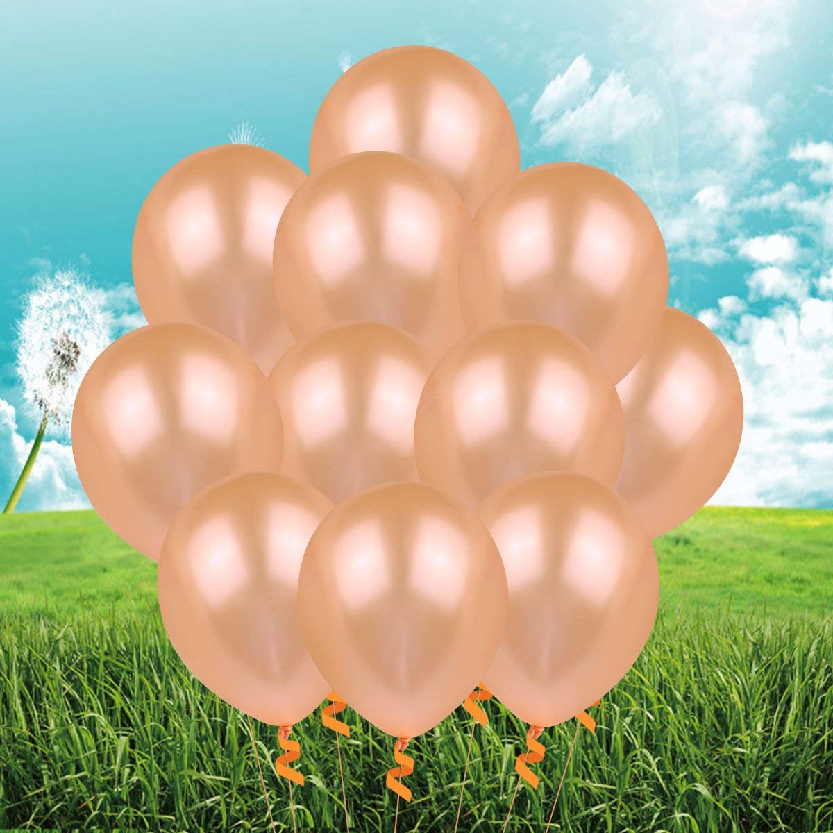 Balloonistics 10 Inch HD Metallic Shiny Balloons for Birthday Decoration, Decoration for Weddings, Engagement, Baby Shower, 1st Birthday, Anniversary, Birthday Party (Pack of 50) (Peach) - Image 2 thumbnail