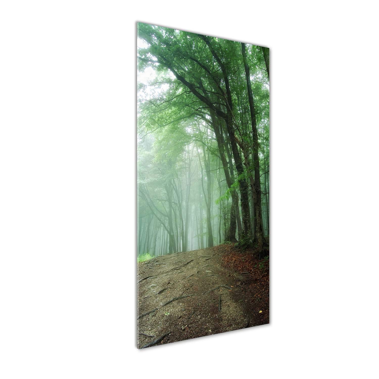 Image sur verre acrylique 50x125 déco mural derrière le plastique paysage vert forêt